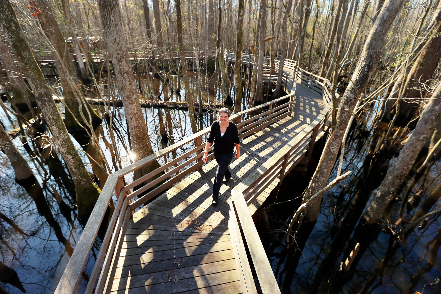 Beidler Forest boardwalk